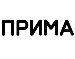 Товарный знак №804148, принадлежит организации Общество с ограниченной ответственностью "Научно-производственное предприятие "ПРИМА", ОГРН 1025202403710, ИНН 5257013402