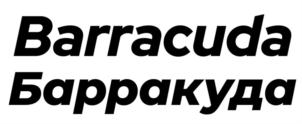 Товарный знак №805117, принадлежит организации Общество с ограниченной ответственностью «НПК БАРРАКУДА», ОГРН 1192225034363, ИНН 2225205970