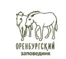 Товарный знак №805645, принадлежит организации Федеральное государственное бюджетное учреждение «Объединенная дирекция государственных природных заповедников «Оренбургский» и «Шайтан-Тау», ОГРН 1025601720110, ИНН 5611002642