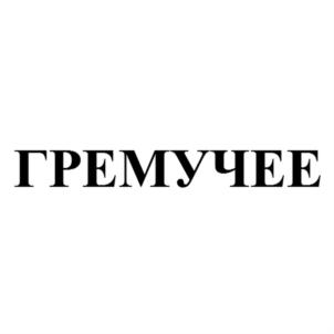 Товарный знак №805770, принадлежит организации Общество с ограниченной ответственностью Ростовский Пивоваренный Завод «Солнечный», ОГРН 1065401093152, ИНН 5401269181