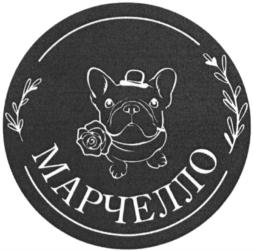 Товарный знак №806027, принадлежит организации Общество с ограниченной ответственностью "СПАР - ДЕВЕЛОПМЕНТ", ОГРН 1047100326195, ИНН 7104044809