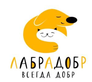 Товарный знак №808144, принадлежит организации Общество с ограниченной ответственностью "Айр Чартер", ОГРН 1187746757472, ИНН 7724450649