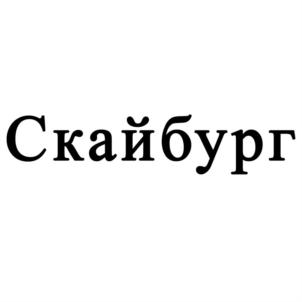 Товарный знак №809003, принадлежит организации Общество с ограниченной ответственностью «Скайбург», ОГРН 1207700337954, ИНН 9731070105