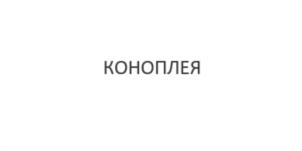 Товарный знак №809822, принадлежит организации Общество с ограниченной ответственностью "Коноплекс", ОГРН 1157746212997, ИНН 7714332220