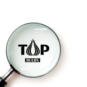 Товарный знак №811368, принадлежит организации Общество с ограниченной ответственностью «Ависта», ОГРН 1087746822294, ИНН 7701791554