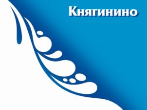 Товарный знак №811938, принадлежит организации Акционерное общество "Княгининское молоко", ОГРН 1025200935462, ИНН 5217000301