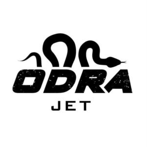 Товарный знак №813784, принадлежит организации Общество с ограниченной ответственностью "ИМПОРТГРУПП", ОГРН 1194350009050, ИНН 4345494238