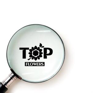Товарный знак №814201, принадлежит организации Общество с ограниченной ответственностью «Ависта», ОГРН 1087746822294, ИНН 7701791554
