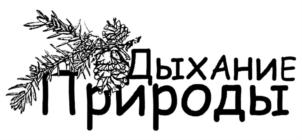 Товарный знак №815389, принадлежит ИП Шевченко Виктор Михайлович, ОГРНИП 317619600080999, ИНН 611901913900
