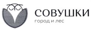 Товарный знак №816140, принадлежит организации Общество с ограниченной ответственностью "Специализированный застройщик "Уральская ЭкоДолина", ОГРН 1187232030061, ИНН 7203464000