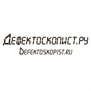 Товарный знак №816341, принадлежит организации Общество с ограниченной ответственностью "Дефектоскопист.ру", ОГРН 1155543014087, ИНН 5504094208