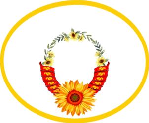 Товарный знак №817643, принадлежит ИП Начкебия Анзор Лаврентьевич, ОГРНИП 320565800032109, ИНН 632207961730