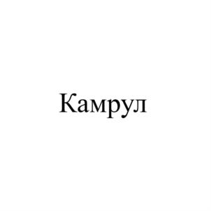 Товарный знак №818784, принадлежит организации Общество с ограниченной ответственностью "КАМРУЛ ПРОДАКТС ИНТЕРНЕЙШНЛ", ОГРН 1191690014086, ИНН 1658215695