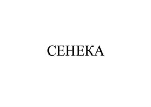 Товарный знак №819114, принадлежит ИП Айвазян Тигран Сергеевич, ОГРНИП 313774626000215, ИНН 770965088401