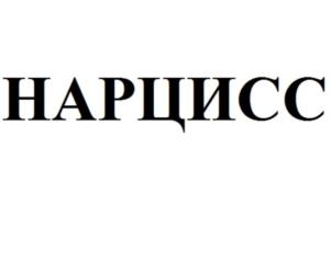 Товарный знак №819166, принадлежит ИП Хон Александр Олегович, ОГРНИП 318502700088009, ИНН 771878570138