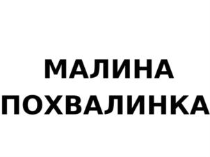 Товарный знак №820541, принадлежит организации Общество с ограниченной ответственностью "ПИТОМНИК "ШКОЛЬНЫЙ САД", ОГРН 1135229000060, ИНН 5213005362