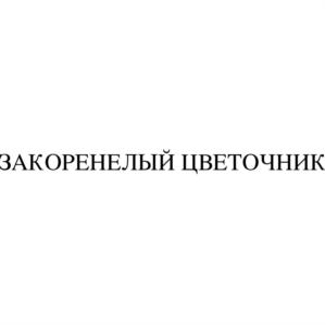 Товарный знак №821893, принадлежит ИП Постнова Александра Романовна, ОГРНИП 304770000452561, ИНН 773103959278