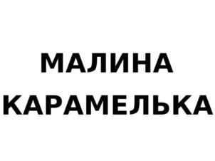 Товарный знак №822593, принадлежит организации ОБЩЕСТВО С ОГРАНИЧЕННОЙ ОТВЕТСТВЕННОСТЬЮ "ПИТОМНИК "ШКОЛЬНЫЙ САД", ОГРН 1135229000060, ИНН 5213005362