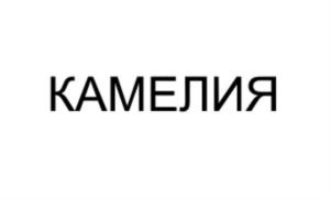 Товарный знак №823661, принадлежит организации Закрытое акционерное общество "Комбинат мучнисто-кондитерских изделий "Добрынинский", ОГРН 1077764196894, ИНН 7718681817