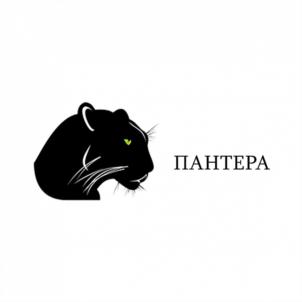 Товарный знак №824702, принадлежит организации Общество с ограниченной ответственностью "Пантера Гранит", ОГРН 1161001058899, ИНН 1001313054
