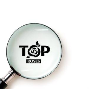 Товарный знак №831305, принадлежит организации Общество с ограниченной ответственностью «Ависта», ОГРН 1087746822294, ИНН 7701791554