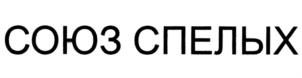 Товарный знак №832005, принадлежит организации Общество с ограниченной ответственностью "КРЕЙДА", ОГРН 1223100016930, ИНН 3100011474