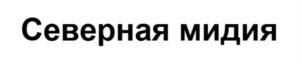 Товарный знак №837109, принадлежит организации Общество с ограниченной ответственностью "Северная мидия", ОГРН 1077847425501, ИНН 7840363394