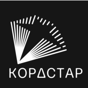 Товарный знак №838345, принадлежит организации Общество с ограниченной ответственностью «КОРДСТАР», ОГРН 1187746725539, ИНН 9705121963