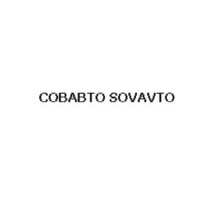 Товарный знак №839041, принадлежит организации Акционерное общество «Совавто-С.Петербург», ОГРН 1027804846530, ИНН 7810216498