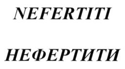 Товарный знак №839230, принадлежит ИП Спирина Надежда Сергеевна, ОГРНИП 319169000145201, ИНН 166109205671