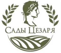 Товарный знак №844252, принадлежит организации Общество с ограниченной ответственностью "ТЕСТ-СЕРВИС", ОГРН 1077746299718, ИНН 7733593900
