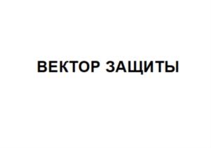 Товарный знак №847632, принадлежит организации Общество с ограниченной ответственностью «Вектор защиты», ОГРН 1217700367631, ИНН 9731082005