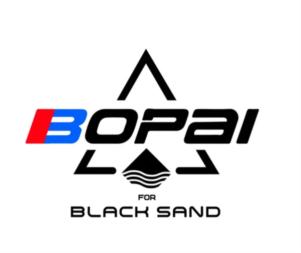 Товарный знак №849499, принадлежит организации Общество с ограниченной ответственностью "Брокер Кредит Сервис", ОГРН 1089848057815, ИНН 7802454570
