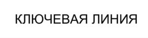 Товарный знак №852230, принадлежит организации Общество с ограниченной ответственность «Ключевая линия», ОГРН 1067017170714, ИНН 7017159610