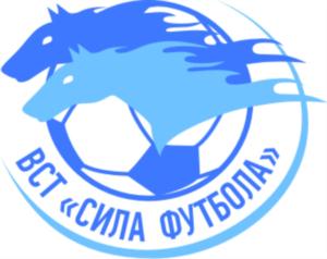 Товарный знак №852686, принадлежит организации Общество с ограниченной ответственностью «Вологодские СпецТкани», ОГРН 1183525038597, ИНН 3528296312