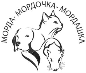 Товарный знак №853652, принадлежит организации Общество с ограниченной ответственностью "КОНЦЕПТ", ОГРН 1057747277378, ИНН 7716527680