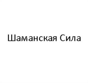 Товарный знак №857402, принадлежит организации Общество с ограниченной ответственностью "Шаманская сила", ОГРН 1197746309485, ИНН 9725010154