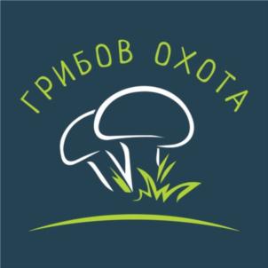 Товарный знак №857434, принадлежит организации Общество с ограниченной ответственностью «АгроГриб», ОГРН 1167154074823, ИНН 7117029519