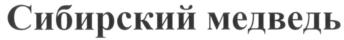 Товарный знак №857923, принадлежит ИП Макаров Дмитрий Александрович, ОГРНИП 311547635000248, ИНН 541003661426