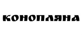 Товарный знак №859938, принадлежит организации Общество с ограниченной ответственностью "Специальные реагенты и соли", ОГРН 1185275013934, ИНН 5260452784