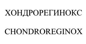 Товарный знак №861318, принадлежит организации Общество с ограниченной ответственностью "НОВИСТЕМ", ОГРН 5167746476277, ИНН 7725345982