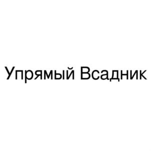 Товарный знак №862060, принадлежит организации Автономная некоммерческая организация мото объединение "СТАЛЬНЫЕ КРЫЛЬЯ СВОБОДЫ", ОГРН 1177232005940, ИНН 7206056345