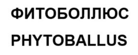 Товарный знак №862523, принадлежит организации Общество с ограниченной ответственностью «АЛТАЙФИТОПРОМ», ОГРН 1162225089608, ИНН 2224182079