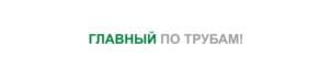 Товарный знак №862785, принадлежит организации Общество с ограниченной ответственностью «Пластик», ОГРН 1025600892646, ИНН 5609027382