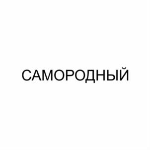 Товарный знак №863087, принадлежит ИП Бердников Тимур Генрихович, ОГРНИП 320169000151489, ИНН 666201619607