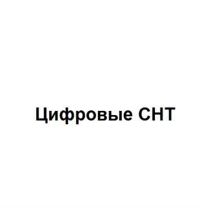 Товарный знак №863595, принадлежит организации Общество с ограниченной ответственностью "Цифровые СНТ", ОГРН 1205000082253, ИНН 5029258019