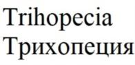 Товарный знак №865344, принадлежит организации Общество с ограниченной ответственностью «ФитоЛукс», ОГРН 1201600072882, ИНН 1659211365