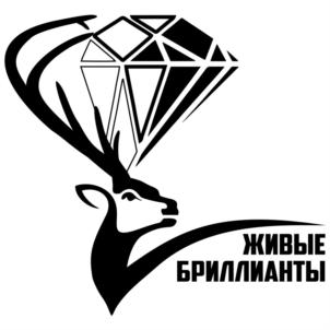 Товарный знак №867038, принадлежит организации Общество с ограниченной ответственностью производственно-сбытовая компания «КостАгро», ОГРН 1174401007934, ИНН 4401183912