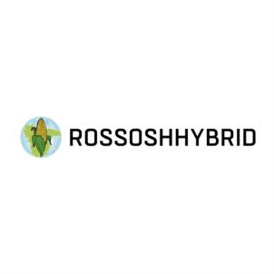 Товарный знак №868288, принадлежит организации Общество с ограниченной ответственностью "РОССОШЬГИБРИД", ОГРН 1093627001544, ИНН 3627025970