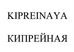 Товарный знак №869269, принадлежит ИП Жиурис Артур Витович, ОГРНИП 315784700122851, ИНН 110312665384